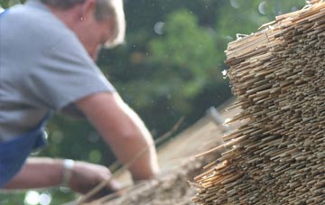 professional Begbroke thatchers